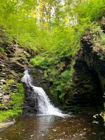 A photo of a creek flowing over a rock face to create a small waterfall surrounded by bright green scenery