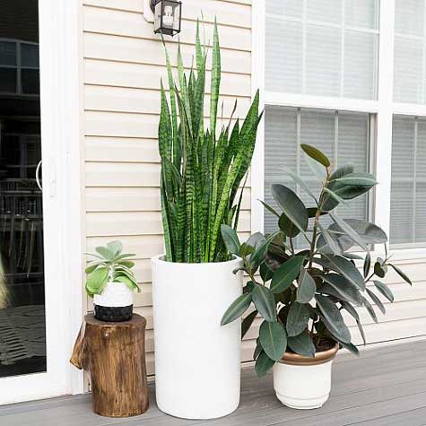 Farmhouse style white flower pots lined up on a front porch.