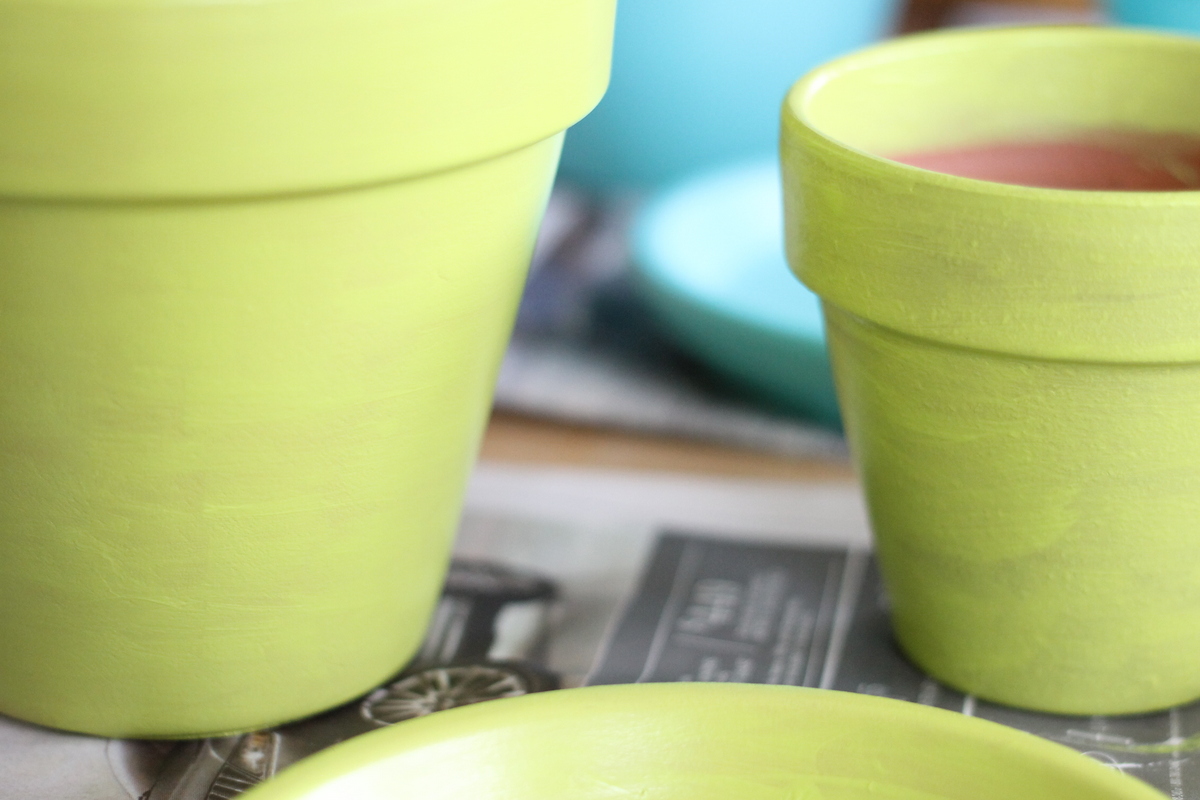 How to Seal Painted Terracotta Pots - Dappled Skies and Diys