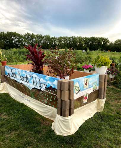 Wooden garden beds are painted in bright colors under a sunny summer sky,