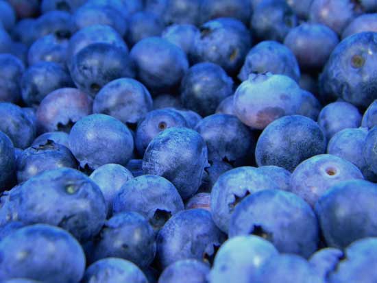 A close-up of blueberries