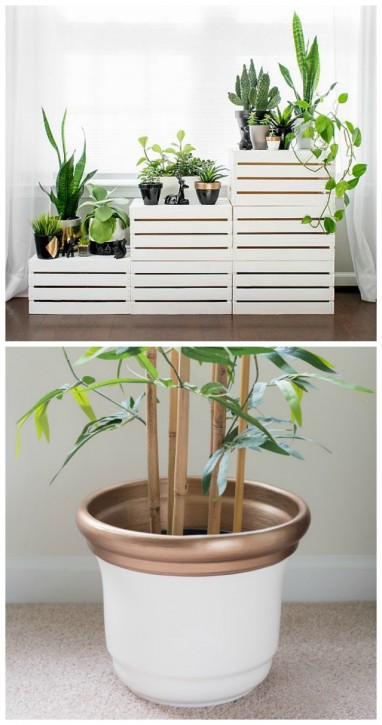 Planters