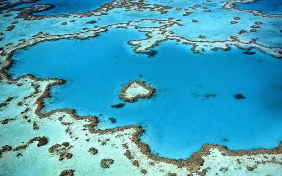 An aerial view of the great barrier reef off the coast of Australia.